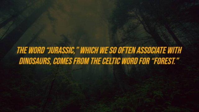 Random Facts (27 pics)