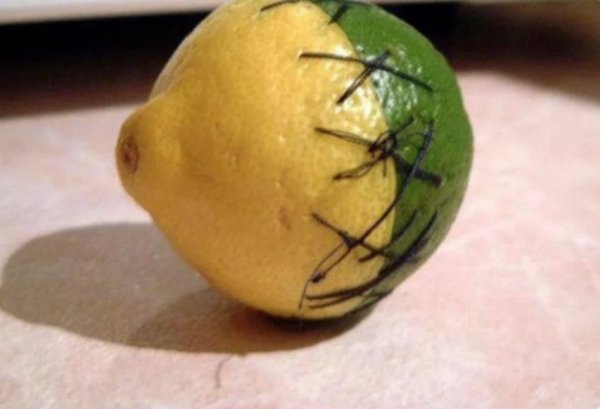 What Is Going On Here? (30 pics)