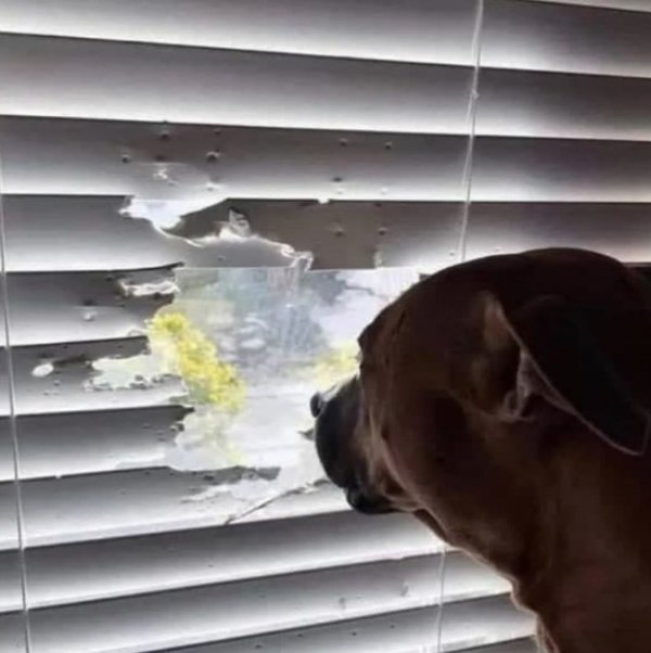 What Is Going On Here? (30 pics)