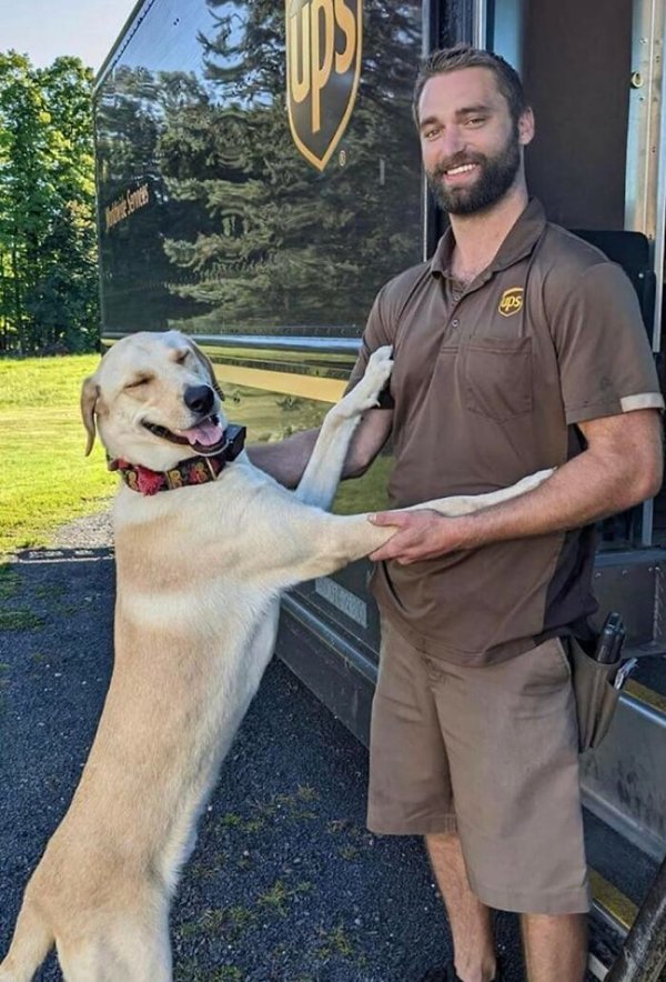 Cute Dogs With Postmen (30 pics)