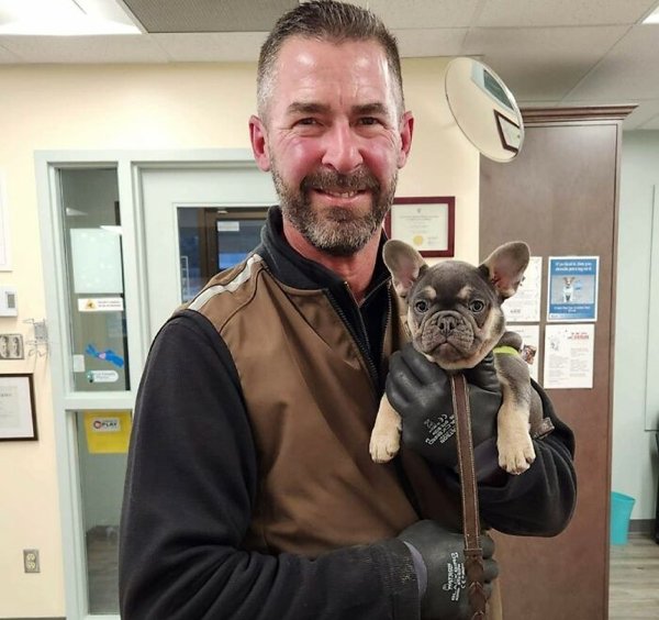 Cute Dogs With Postmen (30 pics)