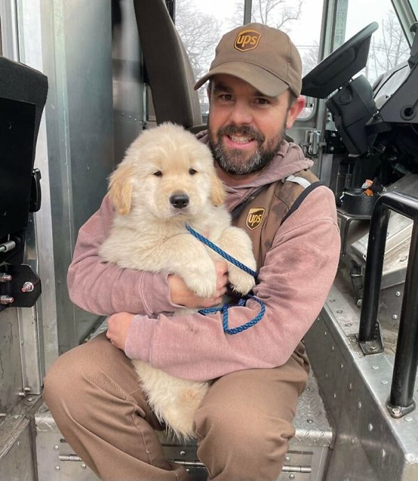 Cute Dogs With Postmen (30 pics)