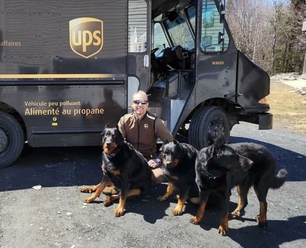 Cute Dogs With Postmen (30 pics)