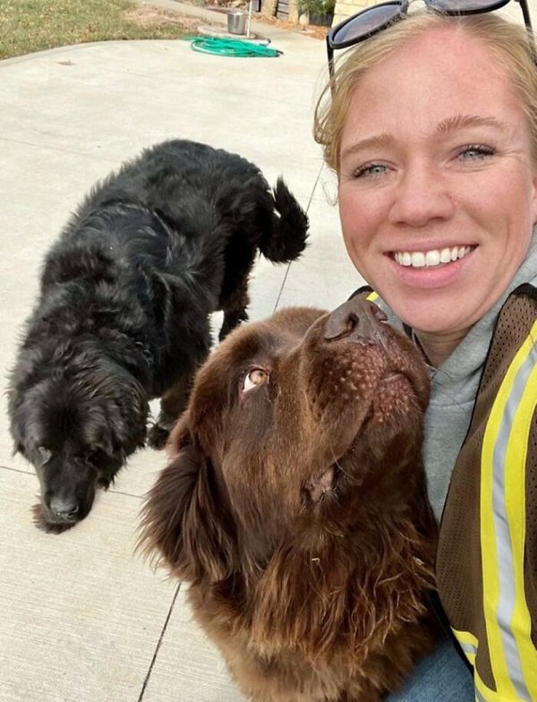 Cute Dogs With Postmen (30 pics)
