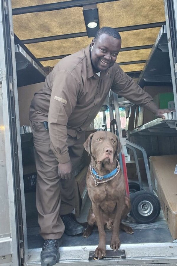 Cute Dogs With Postmen (30 pics)