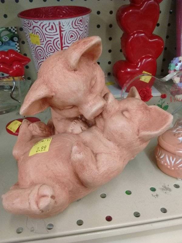 Weird Finds In Thrift Shops (53 pics)