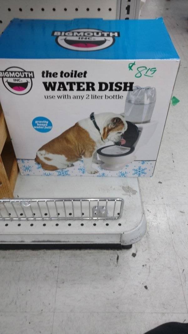 Weird Finds In Thrift Shops (53 pics)