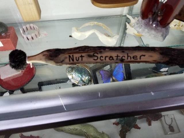 Weird Finds In Thrift Shops (53 pics)