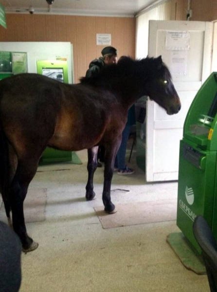Strange Photos From Russia (39 pics)