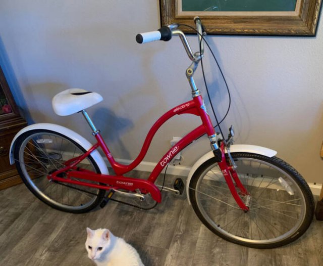 Cool Finds In Thrift Shops (24 pics)