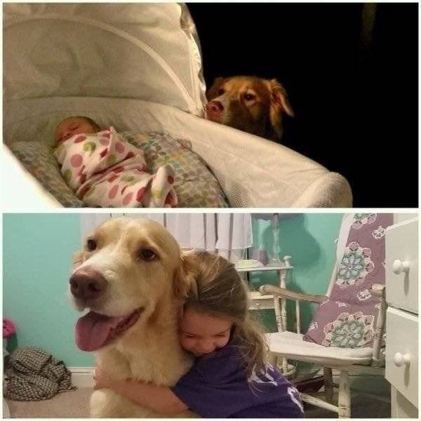 Funny Animals (55 pics)