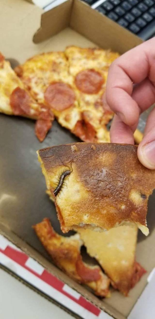 Scary Finds (34 pics)