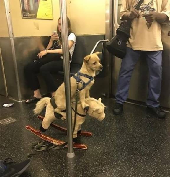 Strange People In The Subway (39 pics)