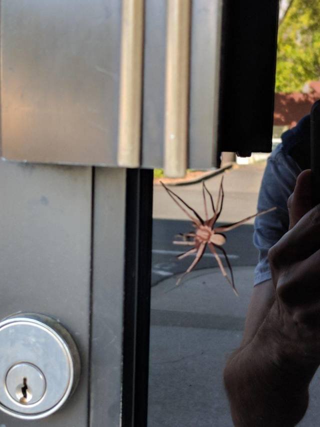 Scary Finds (34 pics)