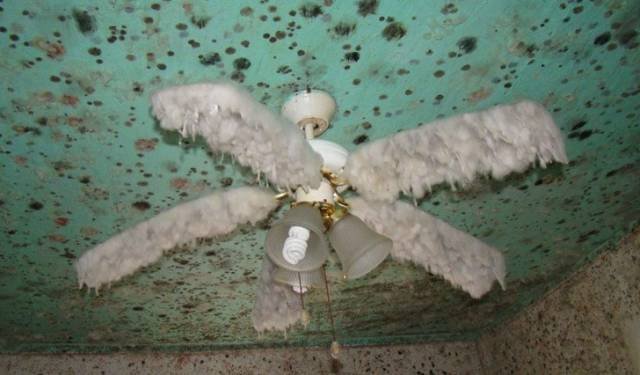 Creepy Photos (46 pics)