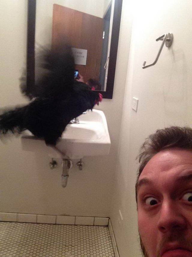 Strange Finds And Situations (51 pics)
