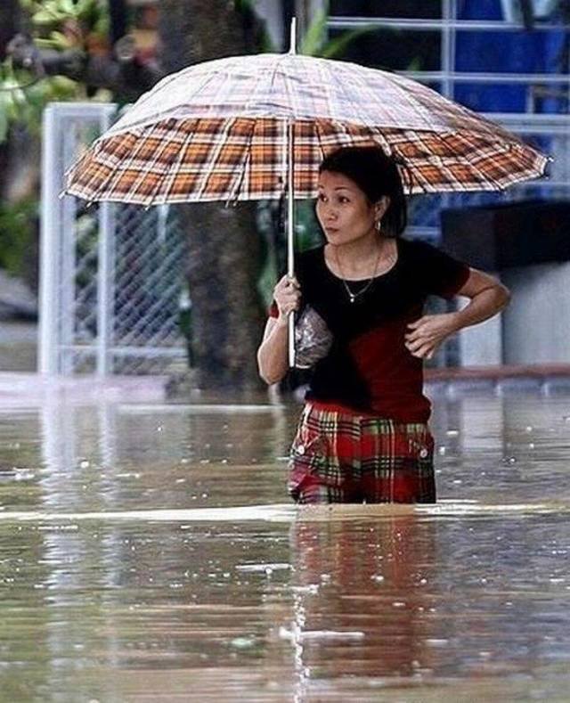 Unexpected Situations (51 pics)