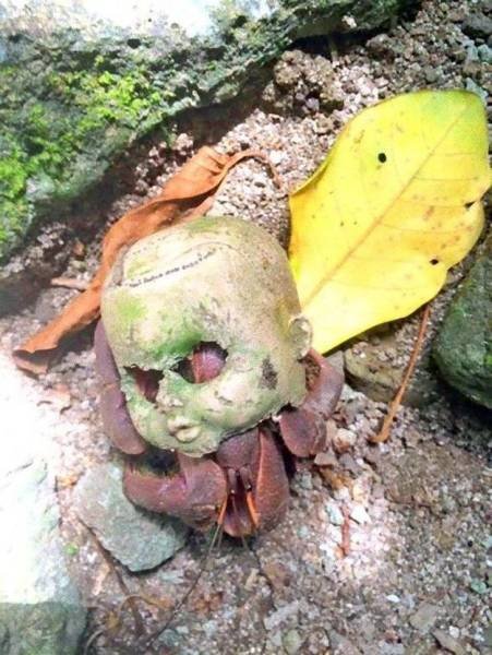 Creepy Photos (46 pics)