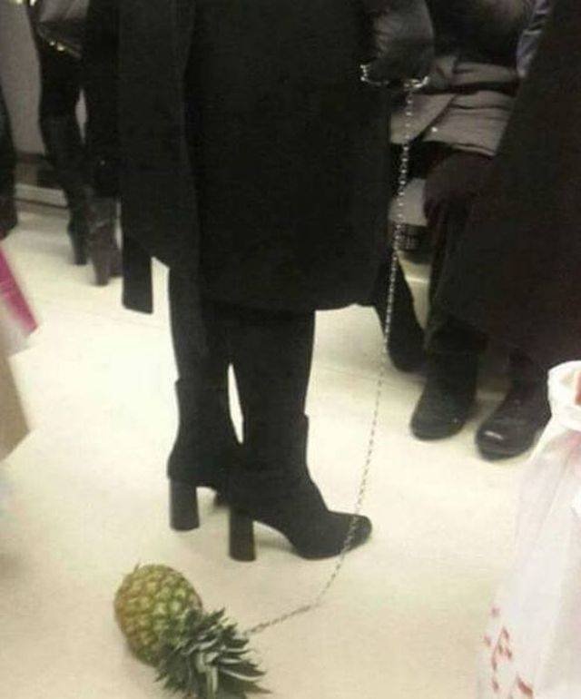 Unexpected Situations (51 pics)