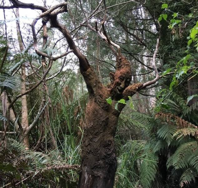Creepy Photos (46 pics)