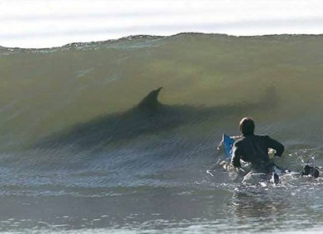 Creepy Photos (46 pics)