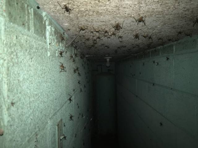 Creepy Photos (46 pics)