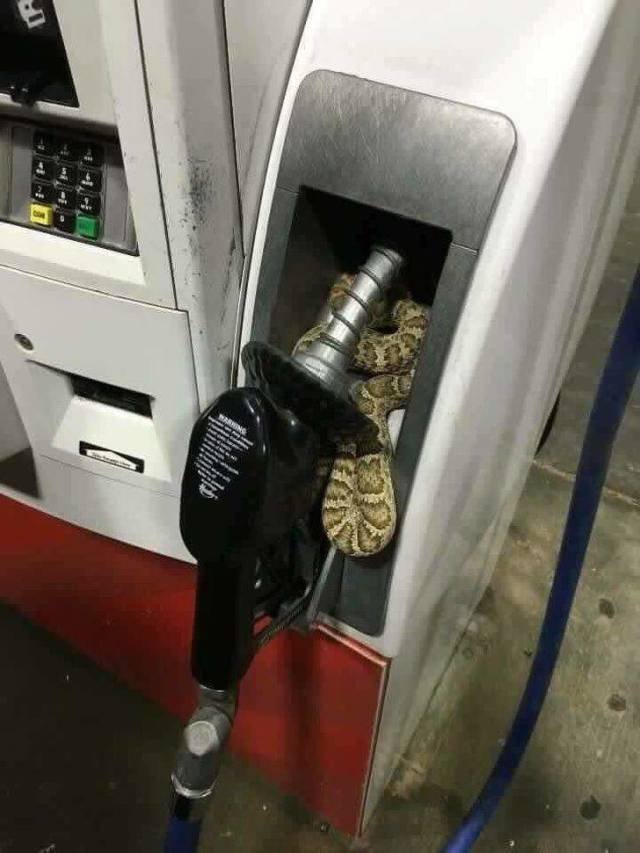 Scary Finds (34 pics)
