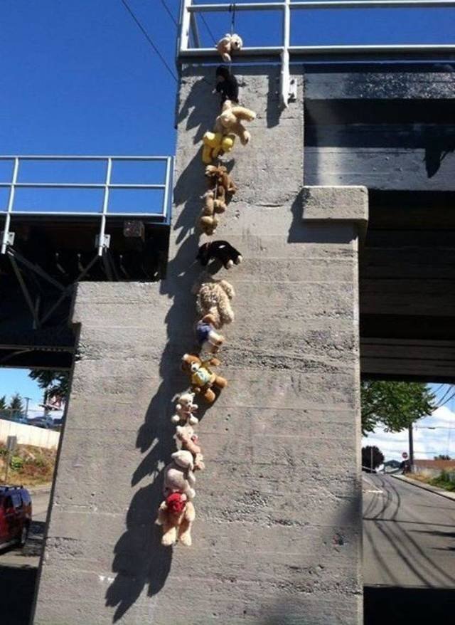 Strange Finds And Situations (51 pics)