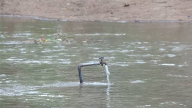 Unexpected Situations (51 pics)