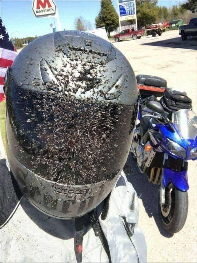 Scary Finds (34 pics)