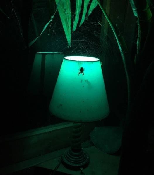 Creepy Photos (46 pics)