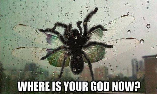 Scary Finds (34 pics)