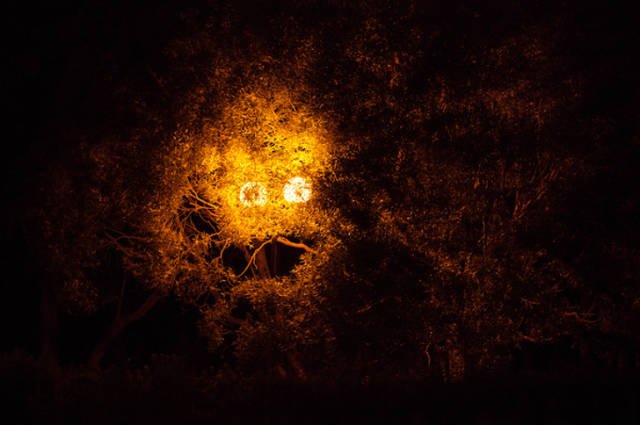 Creepy Photos (46 pics)