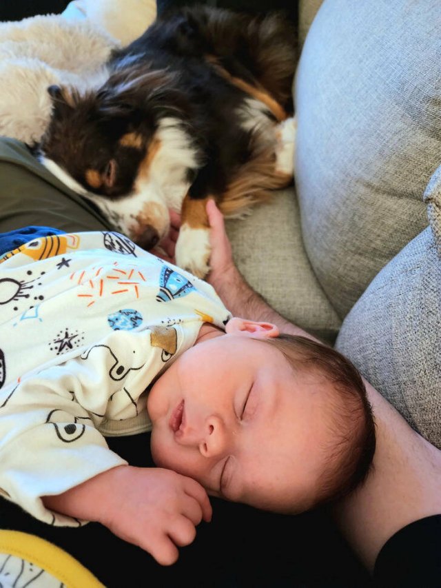 People Share Their Cool Family Photos (17 pics) People Share Their Cool Family Photos (17 pics)