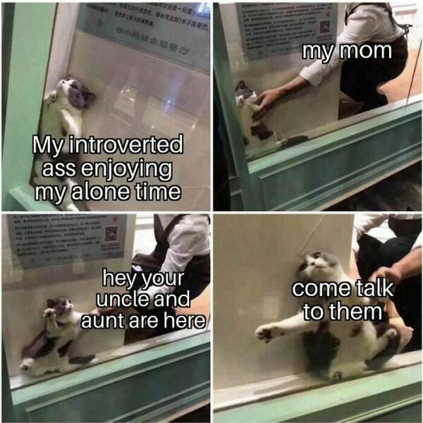Memes For Introverts (48 pics)