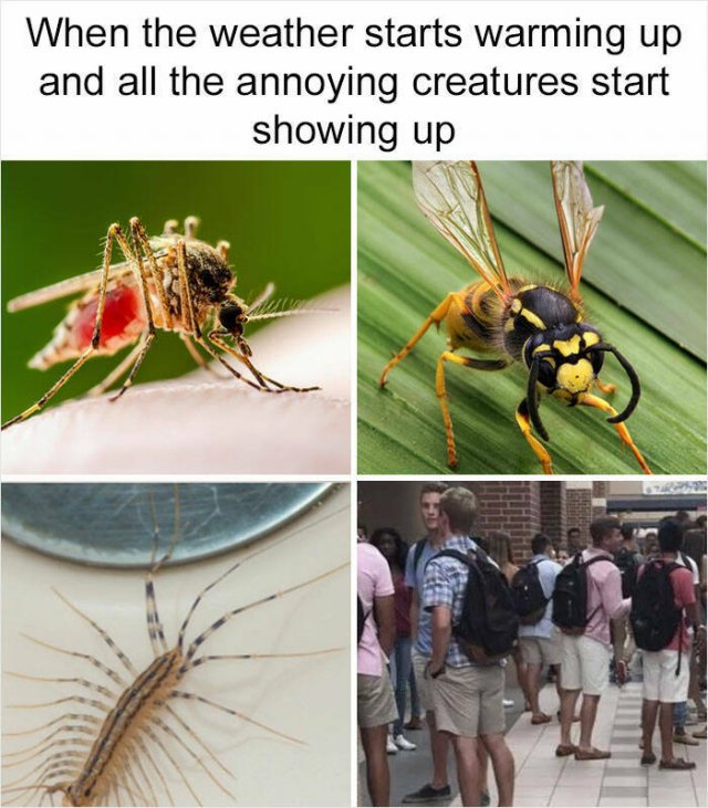 Memes For Introverts (48 pics)