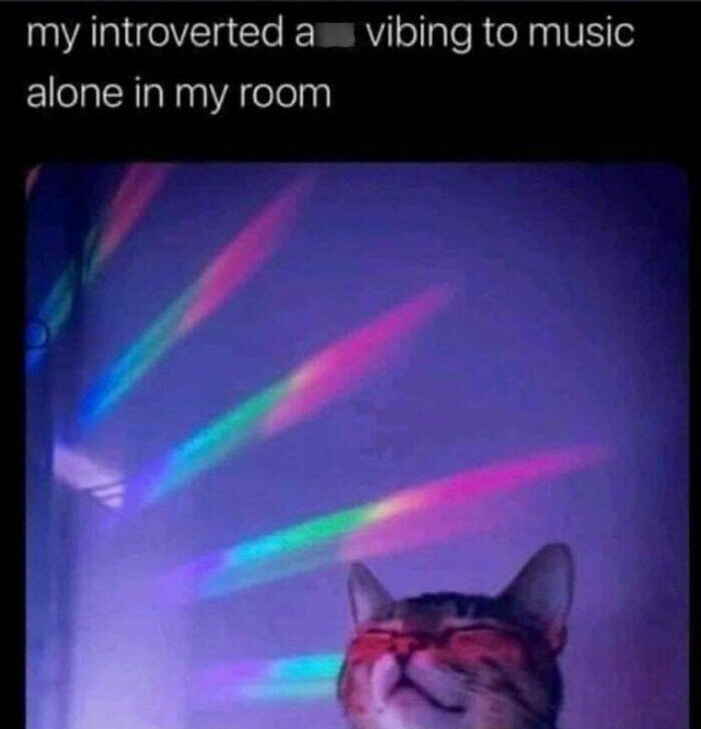 Memes For Introverts (48 pics)