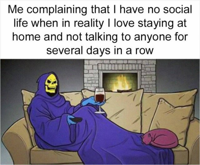 Memes For Introverts (48 pics)