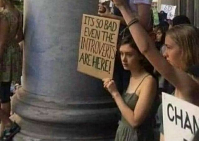 Memes For Introverts (48 pics)