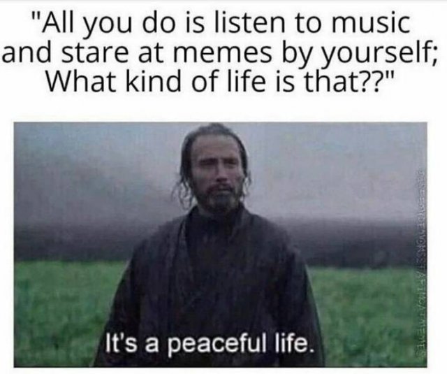 Memes For Introverts (48 pics)