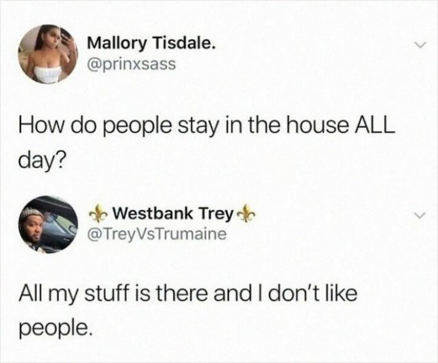 Memes For Introverts (48 pics)