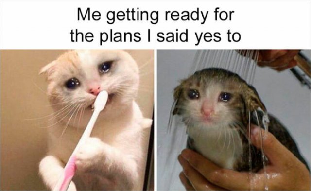 Memes For Introverts (48 pics)