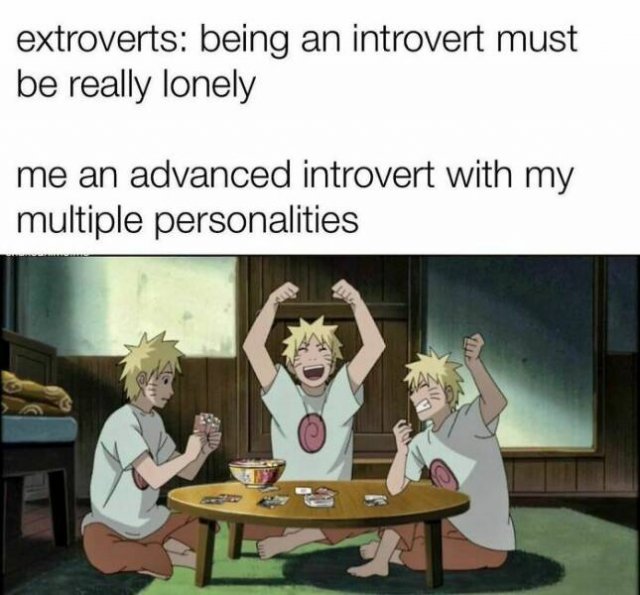 Memes For Introverts (48 pics)