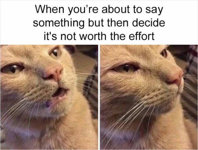 Memes For Introverts (48 pics)