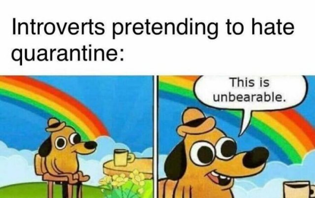 Memes For Introverts (48 pics)