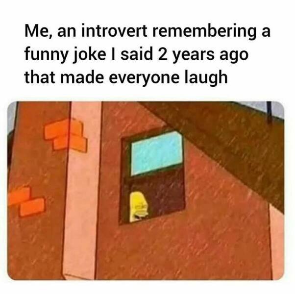 Memes For Introverts (48 pics)
