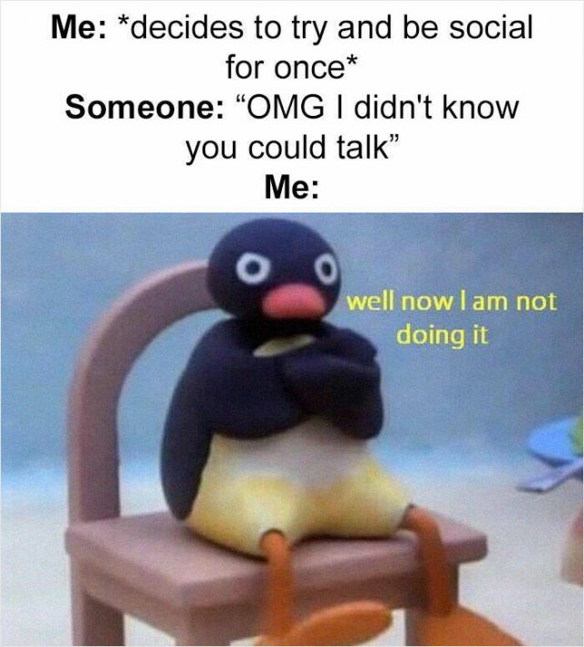Memes For Introverts (48 pics)