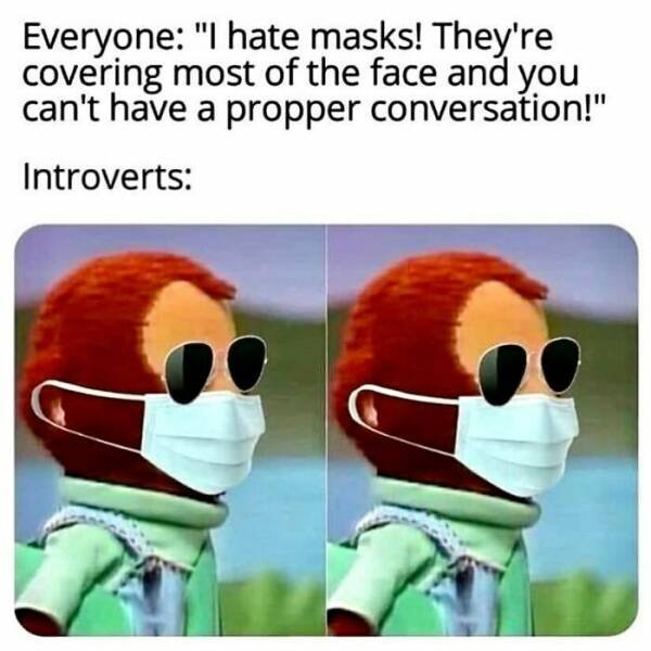 Memes For Introverts (48 pics)