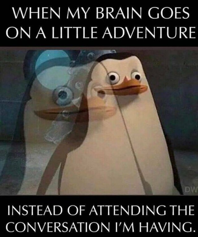 Memes For Introverts (48 pics)
