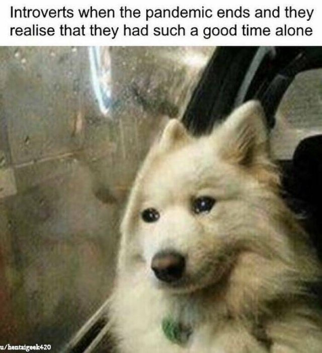 Memes For Introverts (48 pics)